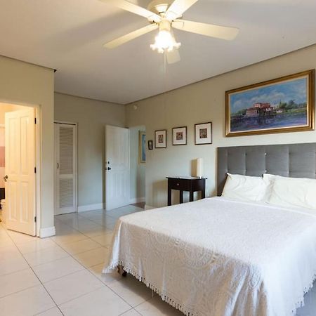 Chester Avenue Guest House كينغستون المظهر الخارجي الصورة