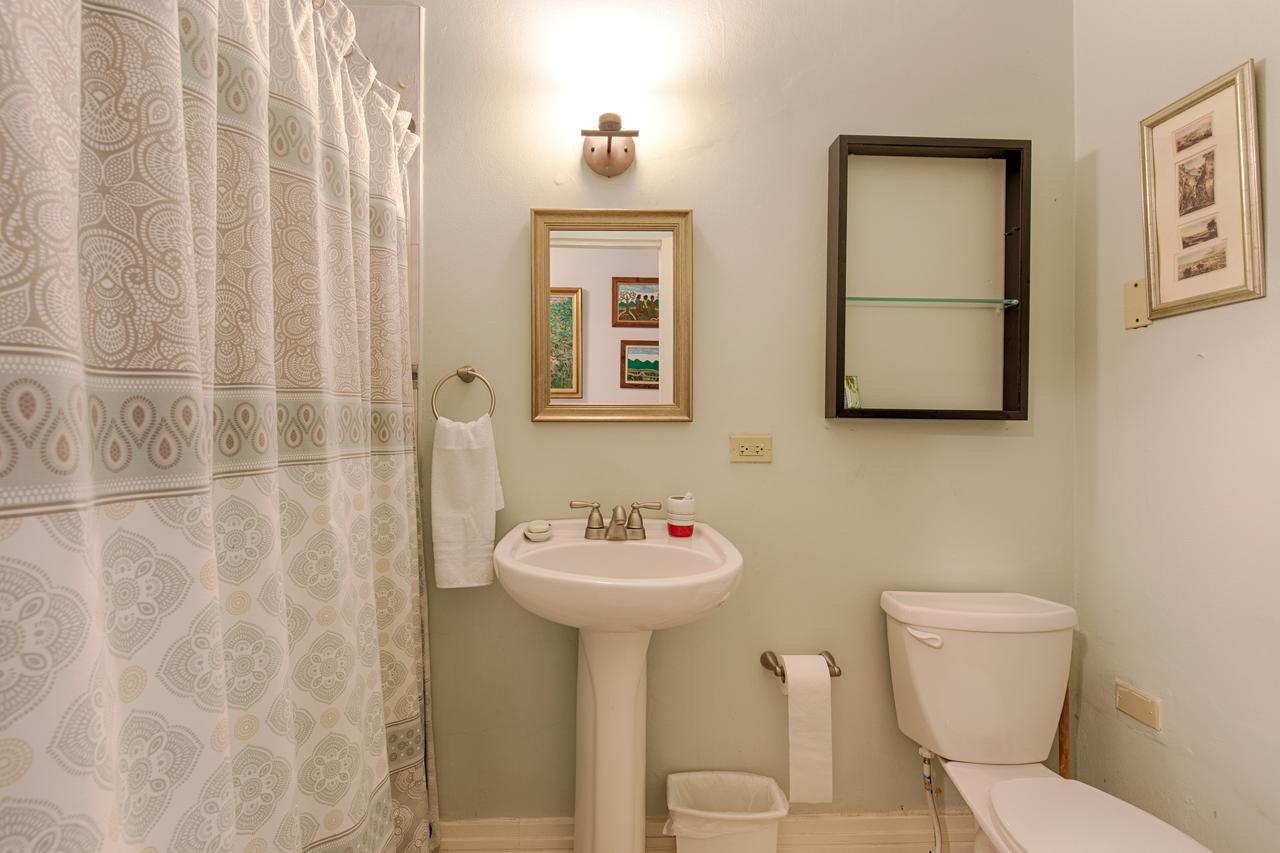 Chester Avenue Guest House كينغستون المظهر الخارجي الصورة