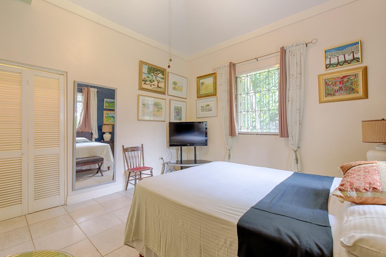 Chester Avenue Guest House كينغستون المظهر الخارجي الصورة