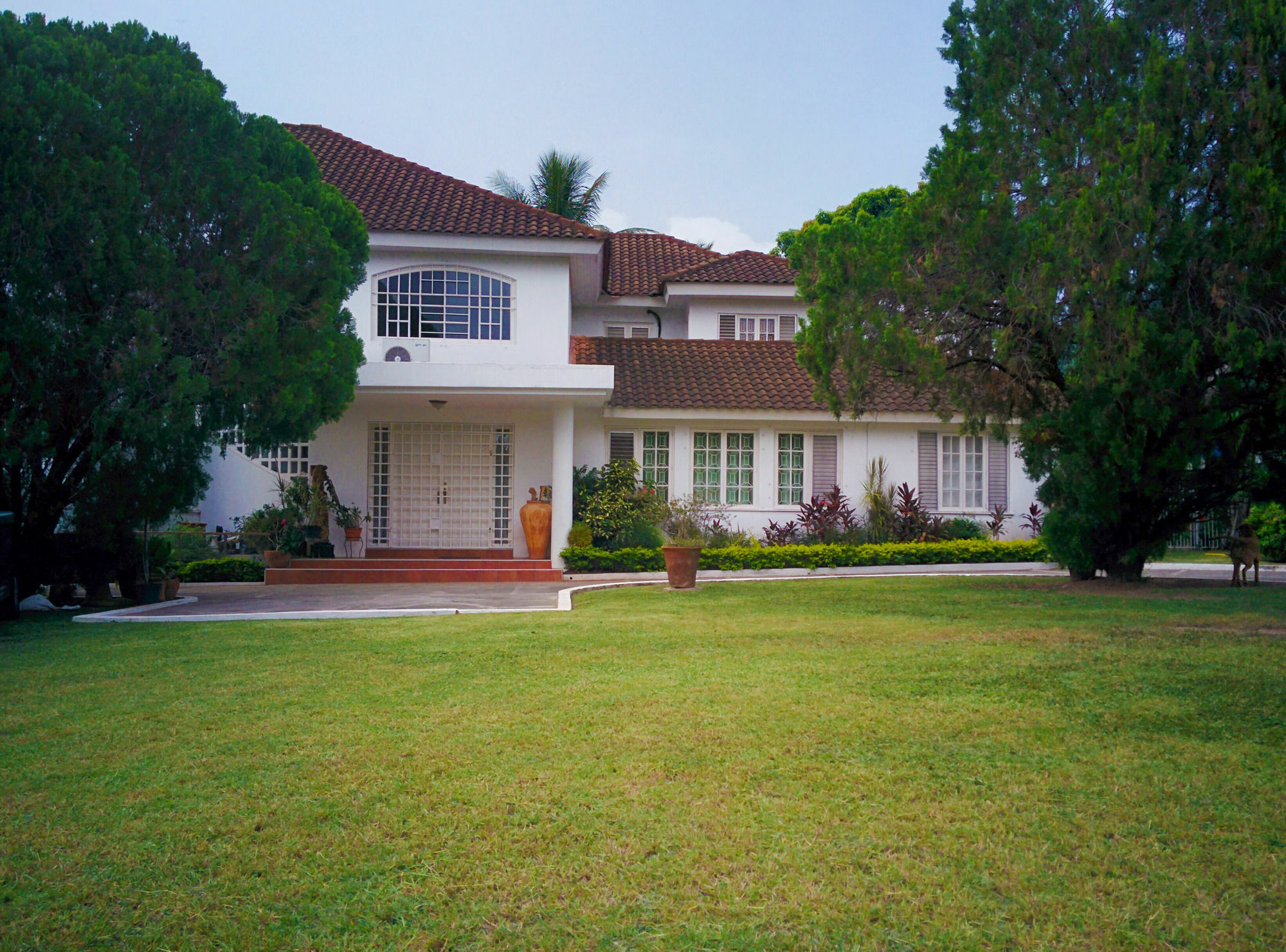 Chester Avenue Guest House كينغستون المظهر الخارجي الصورة