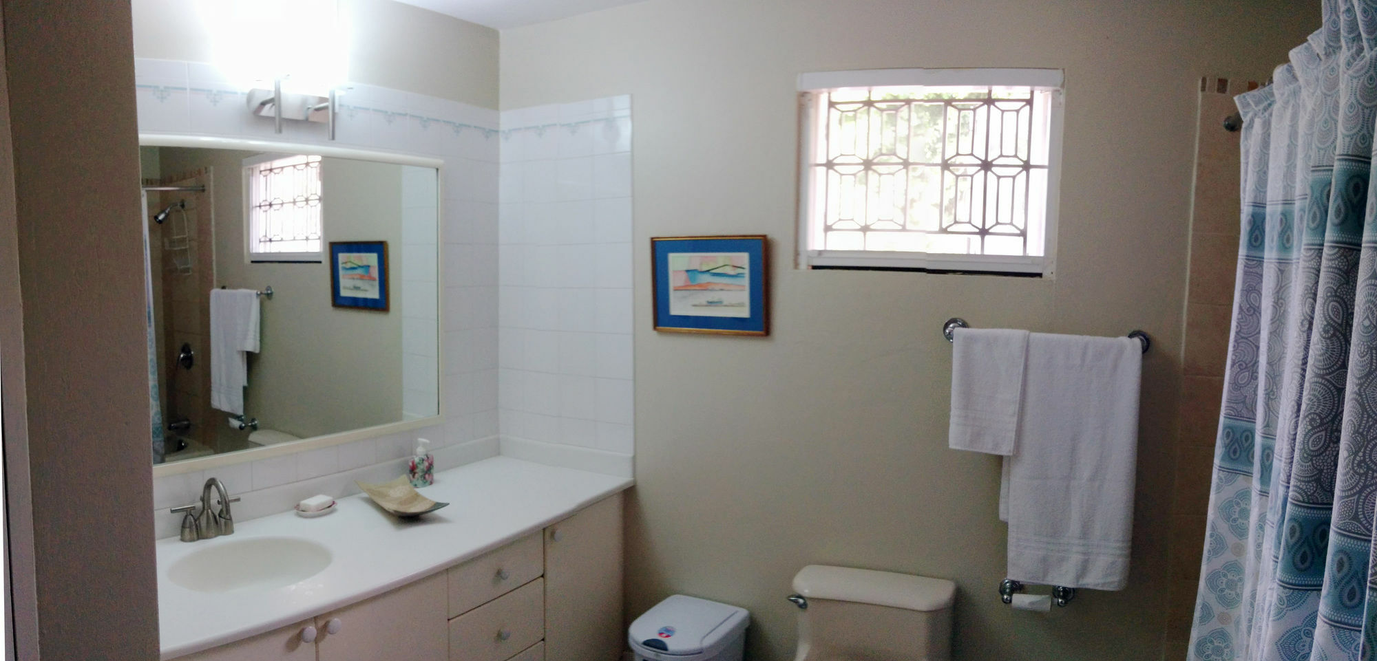 Chester Avenue Guest House كينغستون المظهر الخارجي الصورة