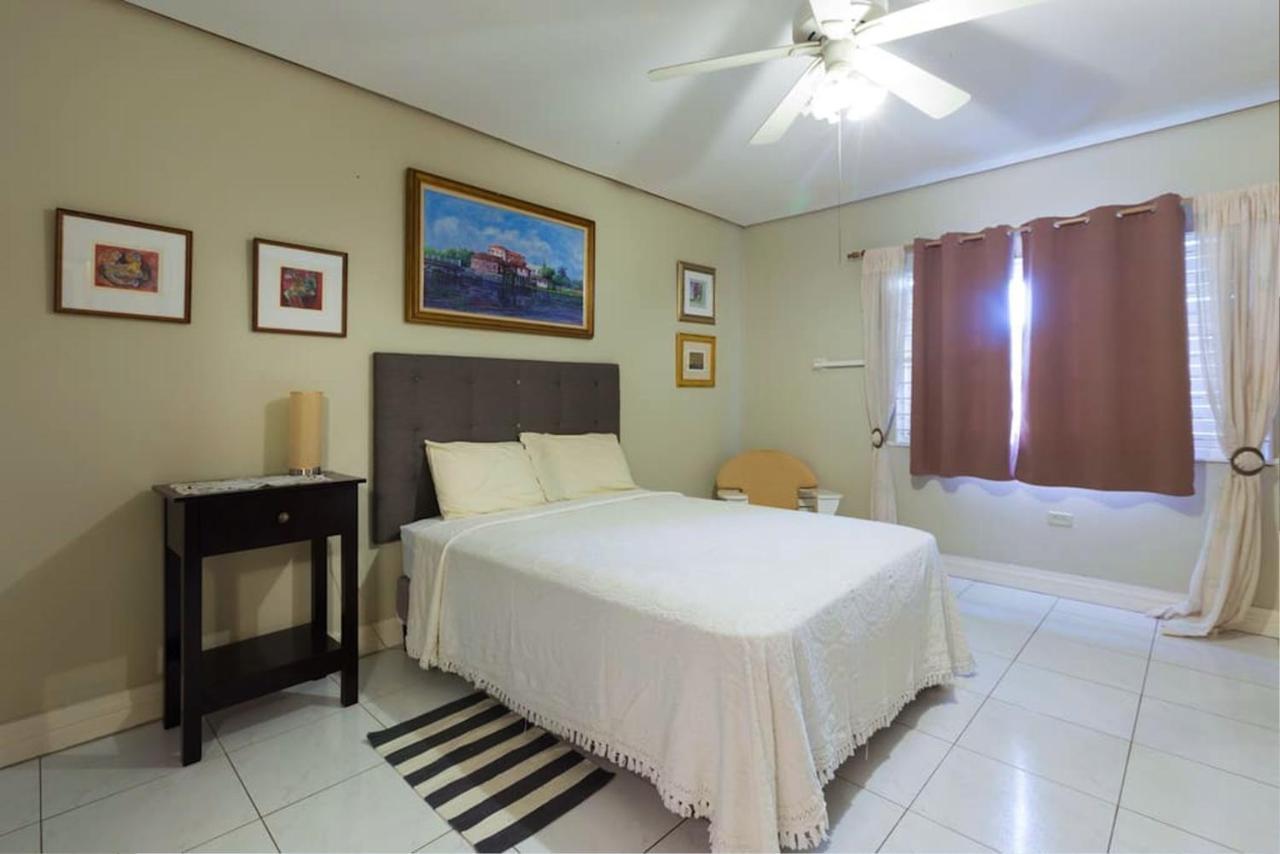 Chester Avenue Guest House كينغستون المظهر الخارجي الصورة