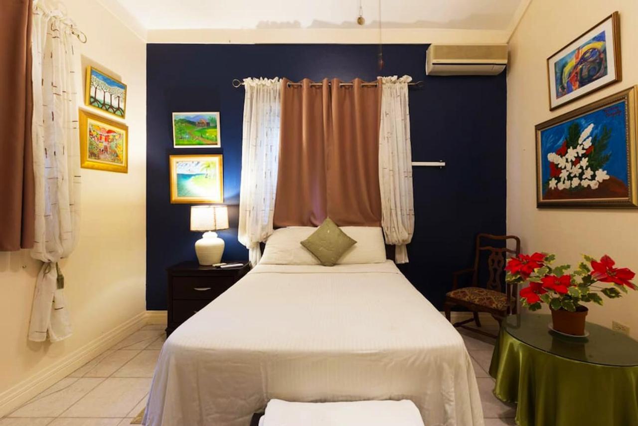 Chester Avenue Guest House كينغستون المظهر الخارجي الصورة