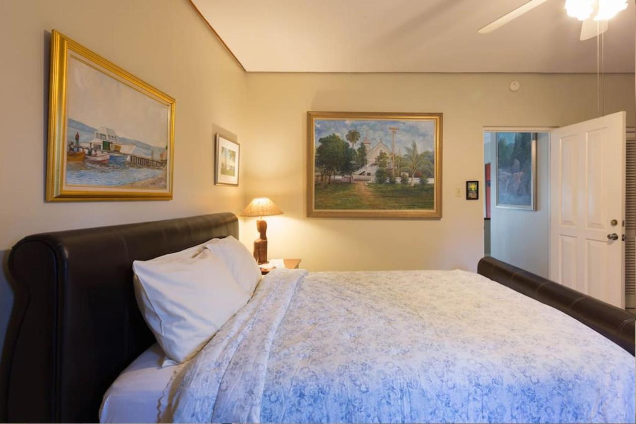 Chester Avenue Guest House كينغستون المظهر الخارجي الصورة
